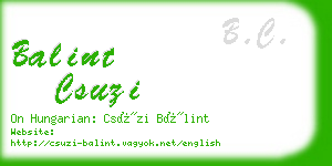 balint csuzi business card